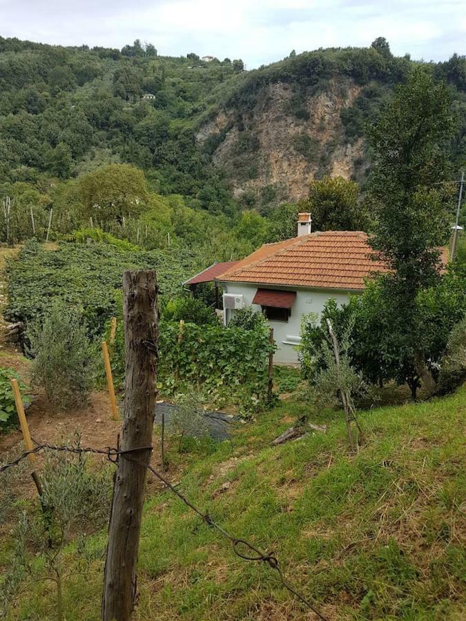 Holiday Home Dionysis Chorevtón Exteriér fotografie